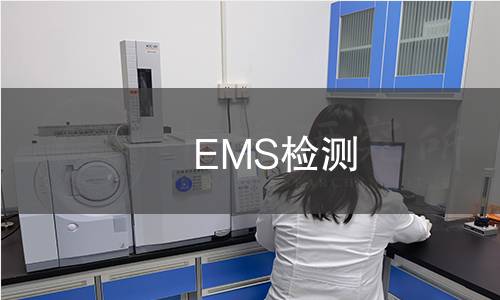 EMS檢測